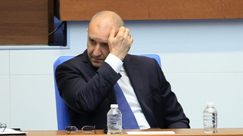 Полина Паунова: Правителствената пресслужба на Румен Радев закон не я лови